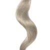 Silver Sand (#SS) Tape In Hair Extensions(Tape In Hair Extensions Silver Sand Ss)
