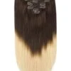 Full Head Remy Clip In Human Hair Extensions - Espresso Honey Ombre (#T2/27)(Full Head Remy Clip In Human Hair Extensions Ombre T2 27)