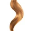 Tape In Remy Human Hair Extensions Autumn Spice (#30B)(Autumn Spice 30b Tape In Hair Extensions)