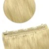 Quad Wefted Remy Clip In One Piece Human Hair Extensions -Light Ash Blonde (#22)(Quad Wefted Remy Clip In Human Hair Extensions Light Ash Blonde 22)
